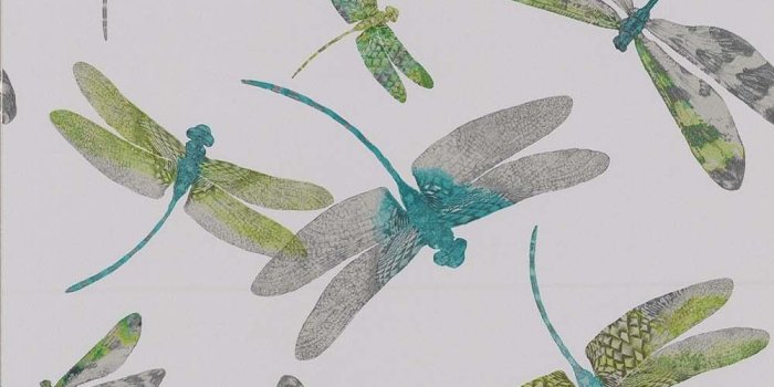 1000x1337 Matthew Williamson Dragonfly Dance - Free Next Day Delivery