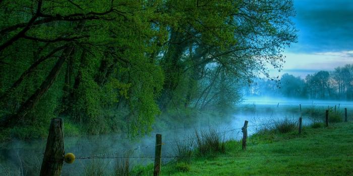 2560x1600 Download latest forest river nature uhd images 16k, images, pictures