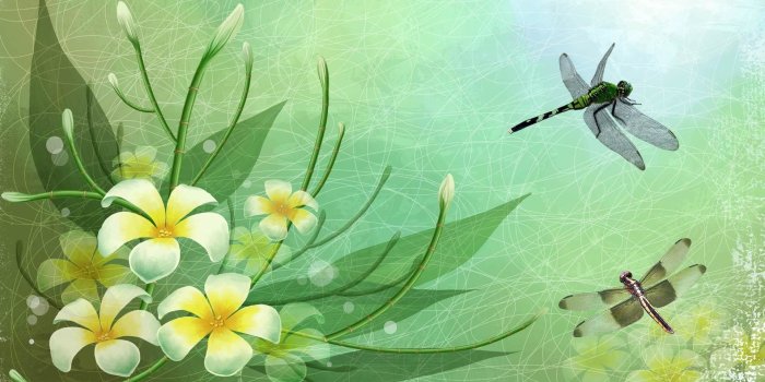 1920x1080 DragoNFLies Wallpaper (50+ images)