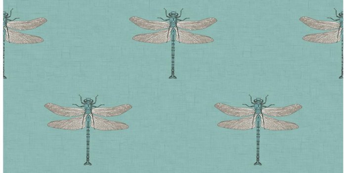 1000x1000 Catalina Metallic Orange and Powder Blue Dragonfly Wallpaper