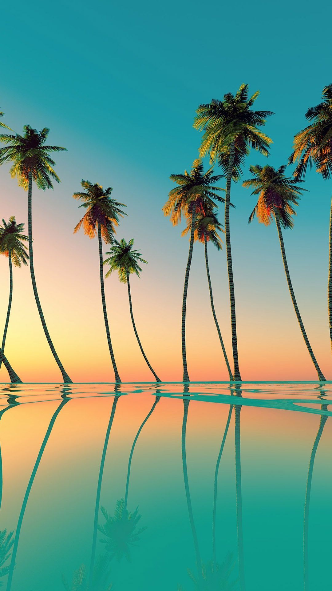 1080x1920 60+ Palm Tree Phone Wallpapers - Download at WallpaperBro
