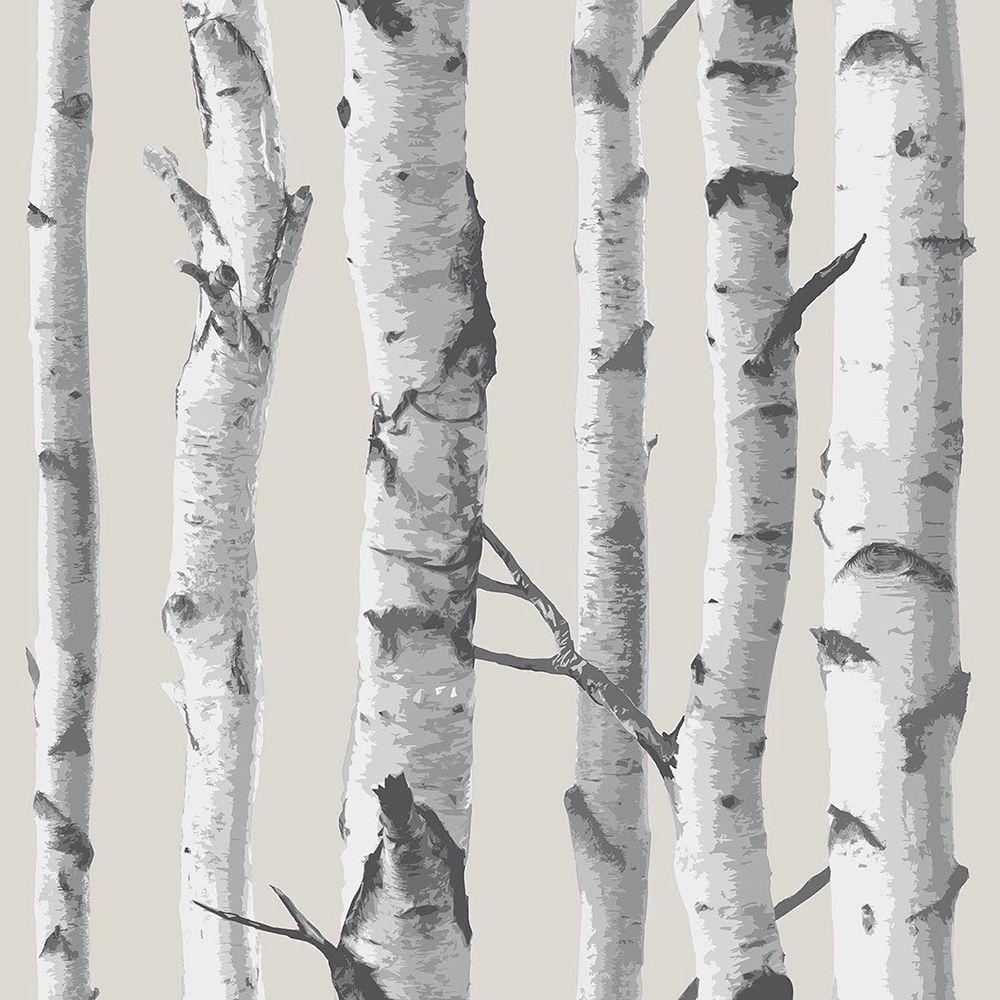 1000x1000 NuWallpaper Multi Color Birch Tree Wallpaper NU1650 - The Home Depot