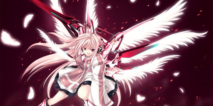 2000x1541 1073 Wings HD Wallpapers | Background Images