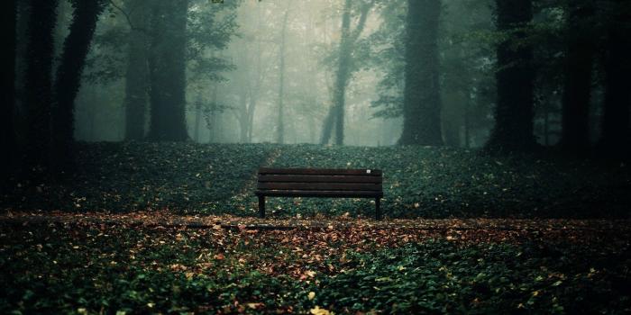 1920x1080 Empty Bench HD Wallpaper | 1920x1080 | ID:56361