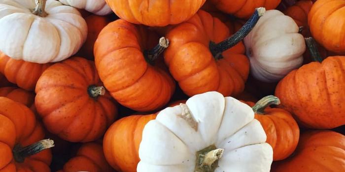 1080x1349 Little pumpkins, iPhone wallpaper, background, fall | • New Phone