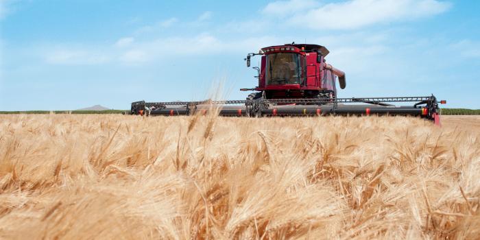 4256x2832 Case Ih Axial-Flow Harvester 4k Ultra HD Wallpaper | Background
