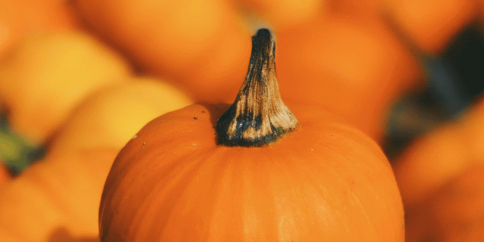 1242x2688 Pumpkin wallpapers for iPhone: download them now!