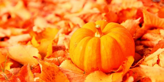 1920x1080 Fall Pumpkin Wallpaper and Screensavers (63+ images)