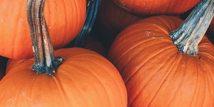 1080x1920 Wallpaper Weekends: A Touch of Pumpkin Spice for Mac, iPhone, iPad