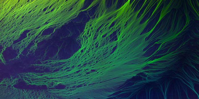 1440x2560 In Case You Want To Download The Razer Phone Wallpapers - Razer