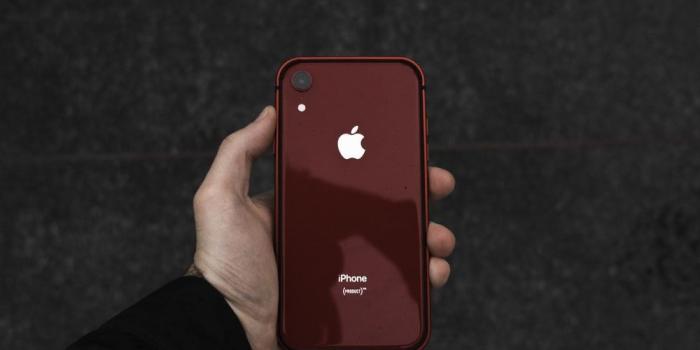 1000x1500 Iphone Xr Pictures | Download Free Images on Unsplash