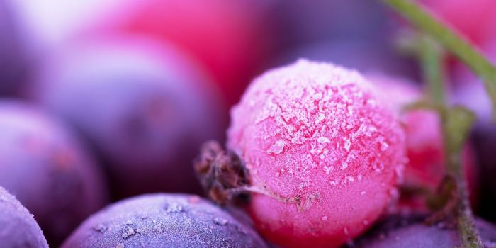 2880x1800 Berry Wallpapers