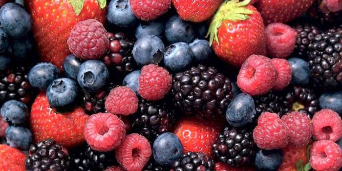 1366x768 4K Berry Mix Wallpapers High Quality | Download Free