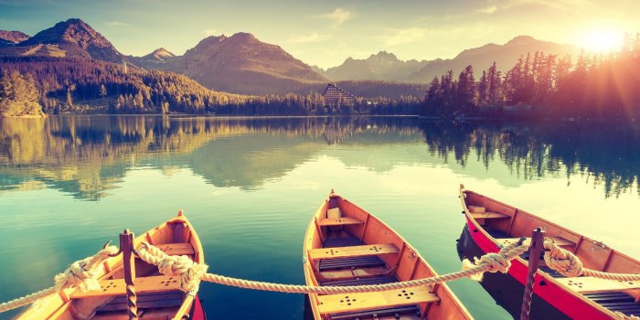 2000x1349 Contemporary wallpaper / vinyl / nature pattern / scenic - HD: 0200