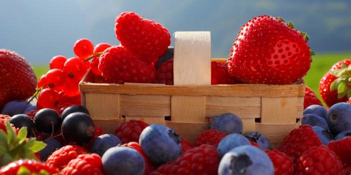 1920x1080 Berry Wallpaper 8 - 1920 X 1080