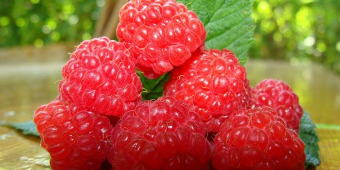 1332x850 Wallpaper macro, sheet, raspberry, food, berry images for desktop