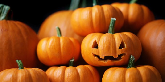 1920x1080 Awesome Pumpkin free wallpaper ID:194490 for full hd desktop