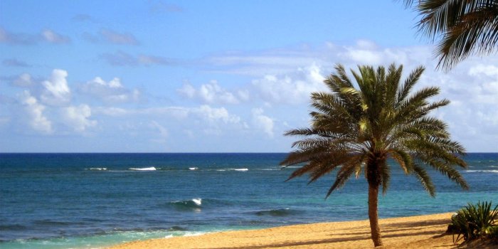 1600x1000 47+] Scenic Wallpaper for Walls on WallpaperSafari