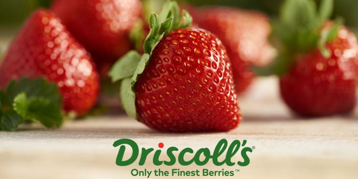 2560x1440 Wallpaper Designs