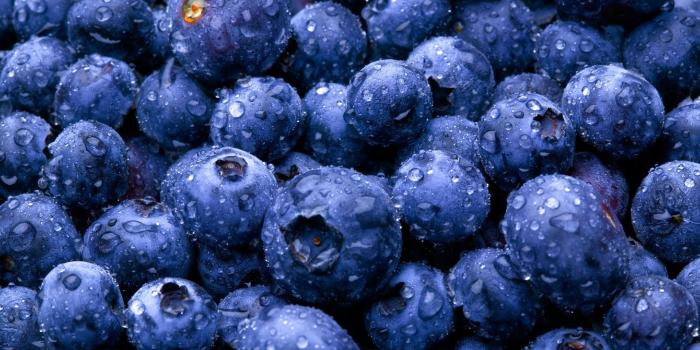 1920x1080 Blue Food Wallpapers - Top Free Blue Food Backgrounds - WallpaperAccess
