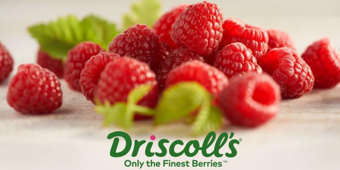 2560x1440 Wallpaper Designs