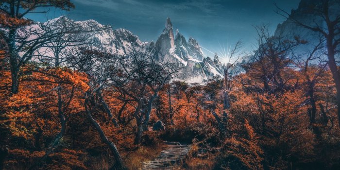 1920x1200 Download wallpaper 1920x1200 mountains, path, trees, sky, landscape
