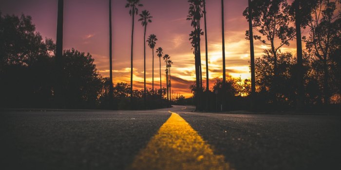 1920x1200 Download wallpaper 1920x1200 palms, road, marking, trees, sky