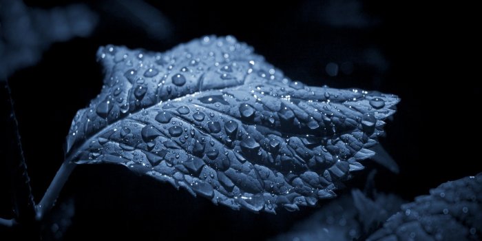 1920x1200 HD Wallpapers 1920x1200 (70+ images)