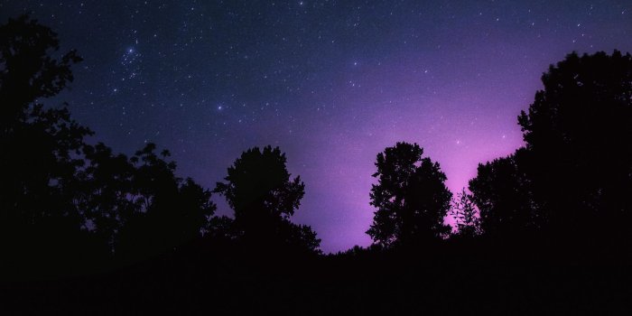 1920x1200 Download wallpaper 1920x1200 starry sky, night, stars, landscape