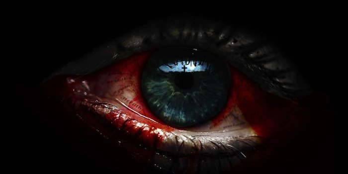 1600x1200 16956 eyes wallpapers for desktop