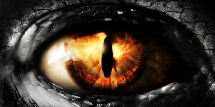 1920x1080 Dragon Eye Wallpapers - Top Free Dragon Eye Backgrounds