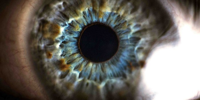 1900x1272 Eye Wallpaper | 1900x1272 | ID:30259