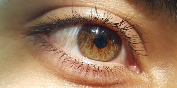 1332x850 Wallpaper gold, eyes, brown, men, face, eye, soft, faces, nice, Eye