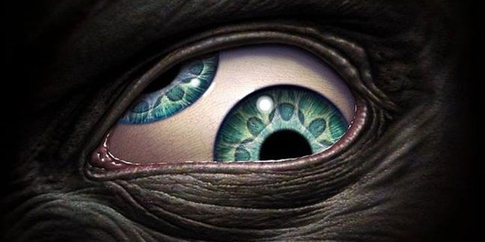 1100x792 Eye Wallpaper 22 - 1100 X 792