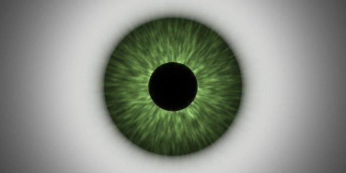 1024x768 Desktop Wallpapers » 3D Backgrounds » Big Eye Green » www