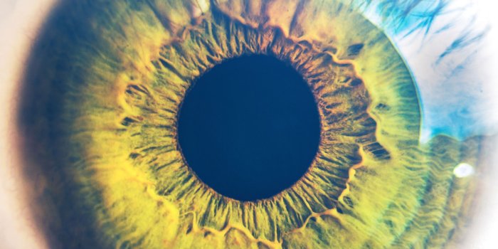 2732x2732 Androidpapers.co | Android wallpaper | mw30-eye-human-nature-pupil