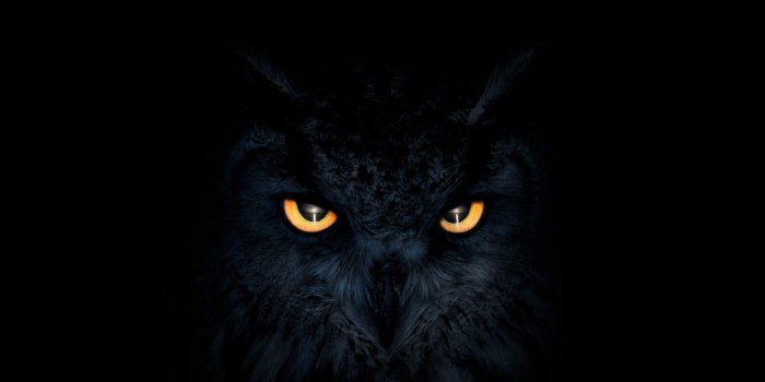 2560x1440 2880x1800 Owl Dark Glowing Eyes Macbook Pro Retina HD 4k Wallpapers