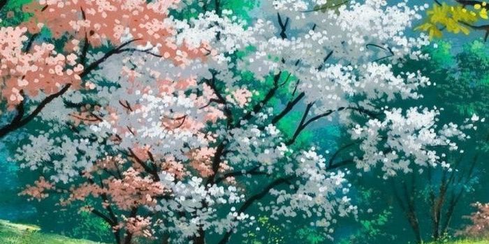 700x1244 ▷ 1001 + spring wallpaper images for your phone and desktop computer