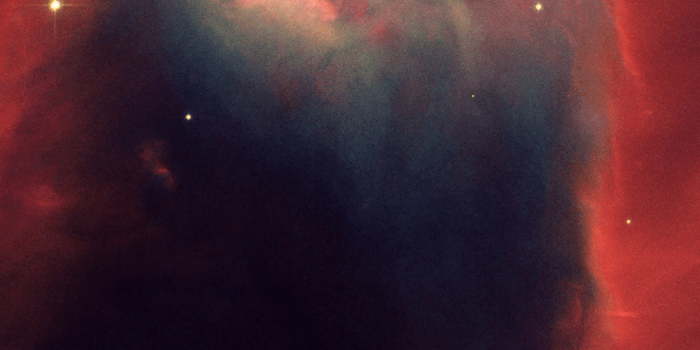 700x1280 35+ Hubble Phone Wallpapers Apes In Space