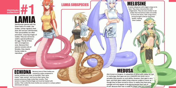1920x1080 Lamia Subspecies End Card - Modified | Monster Musume / Daily Life