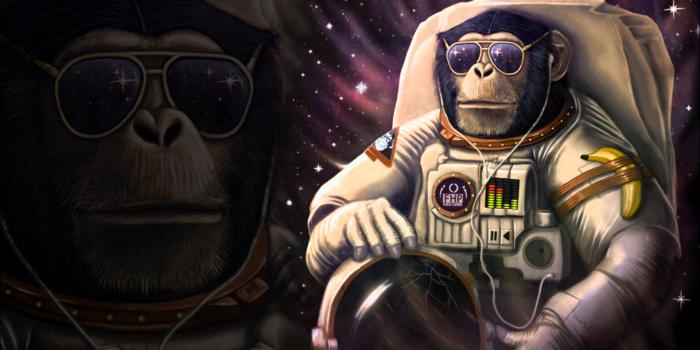 1920x1080 Dank wallpaper collection 2 - Album on Imgur