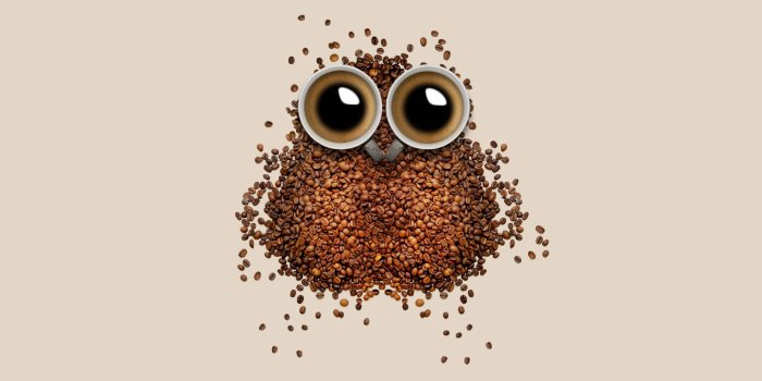 7680x4320 Coffee Bean Owl UHD 8K Wallpaper | Pixelz