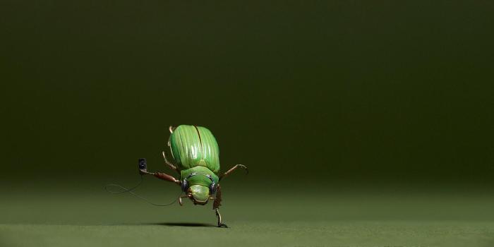 1920x1080 Humor wallpaper | 1920x1080 | #67223