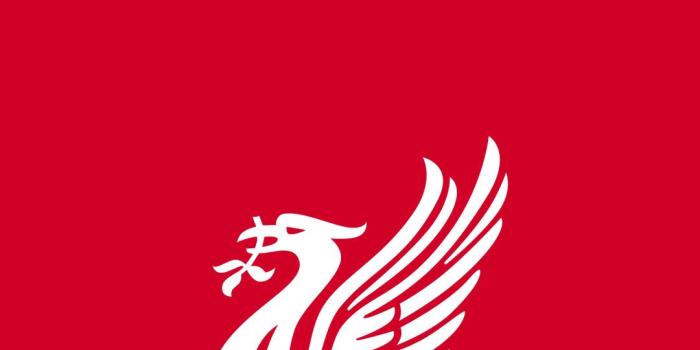 1080x1920 64+ Lfc Wallpapers on WallpaperPlay
