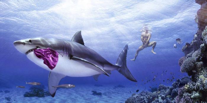 1600x900 Most Creative Funny Pictures Humor Wallpaper - Imgur