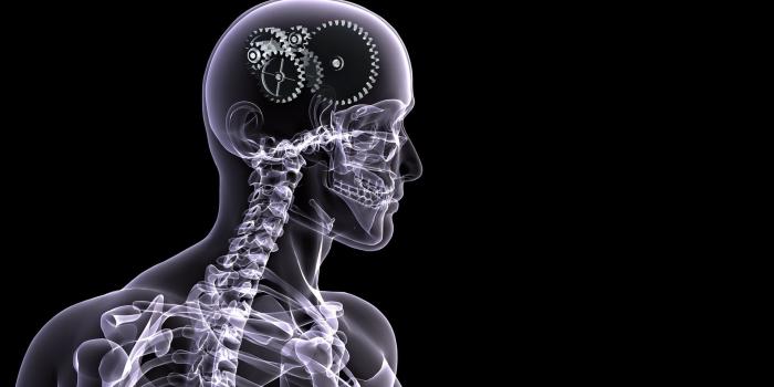 1920x1080 69+ X Ray Wallpapers on WallpaperPlay