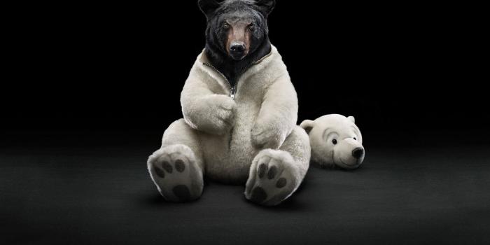 1680x1050 Humor wallpaper | 1680x1050 | #67217