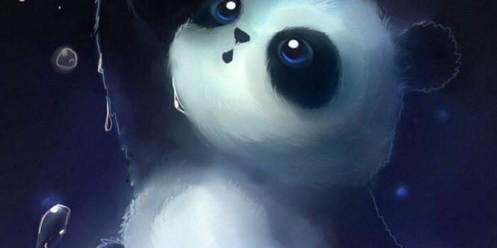 1080x1920 Android Wallpaper HD Baby Panda - 2019 Android Wallpapers