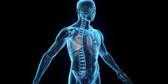 1920x1080 Radiology Wallpapers