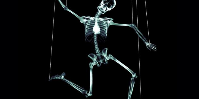 1600x1200 Free Wallpaper - Free Art wallpaper - X Ray wallpaper - 1600x1200